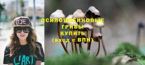 прущая мука Магас