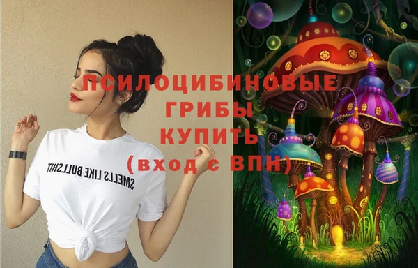 шишки Алексеевка