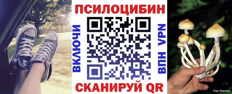 Псилоцибиновые грибы мицелий  продажа наркотиков  Холм 